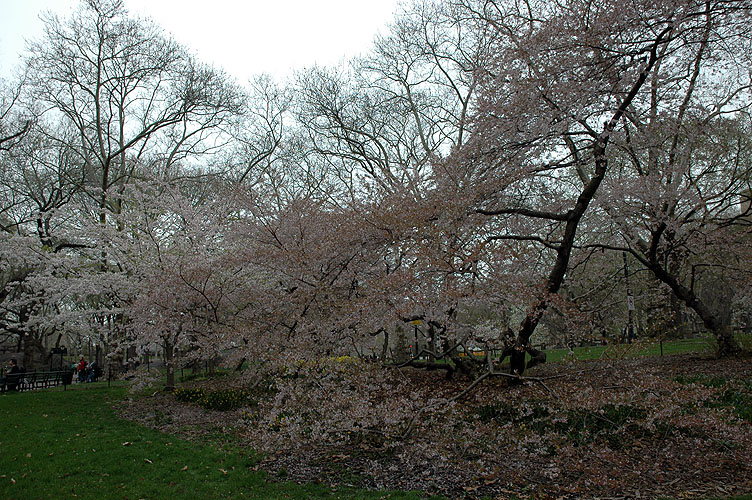 Monday, April 18, 2011 New York 037.JPG